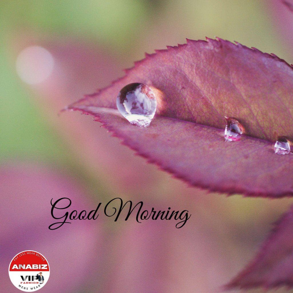Good Morning images